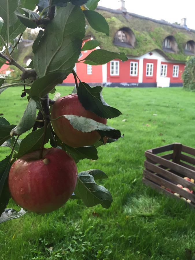 Bed and Breakfast Alsbrogaard Bramming Exteriér fotografie